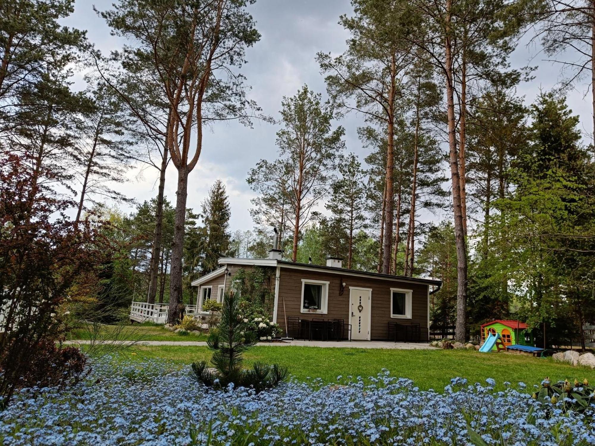 Sosnowy Azyl Villa Wąglikowice Exterior foto